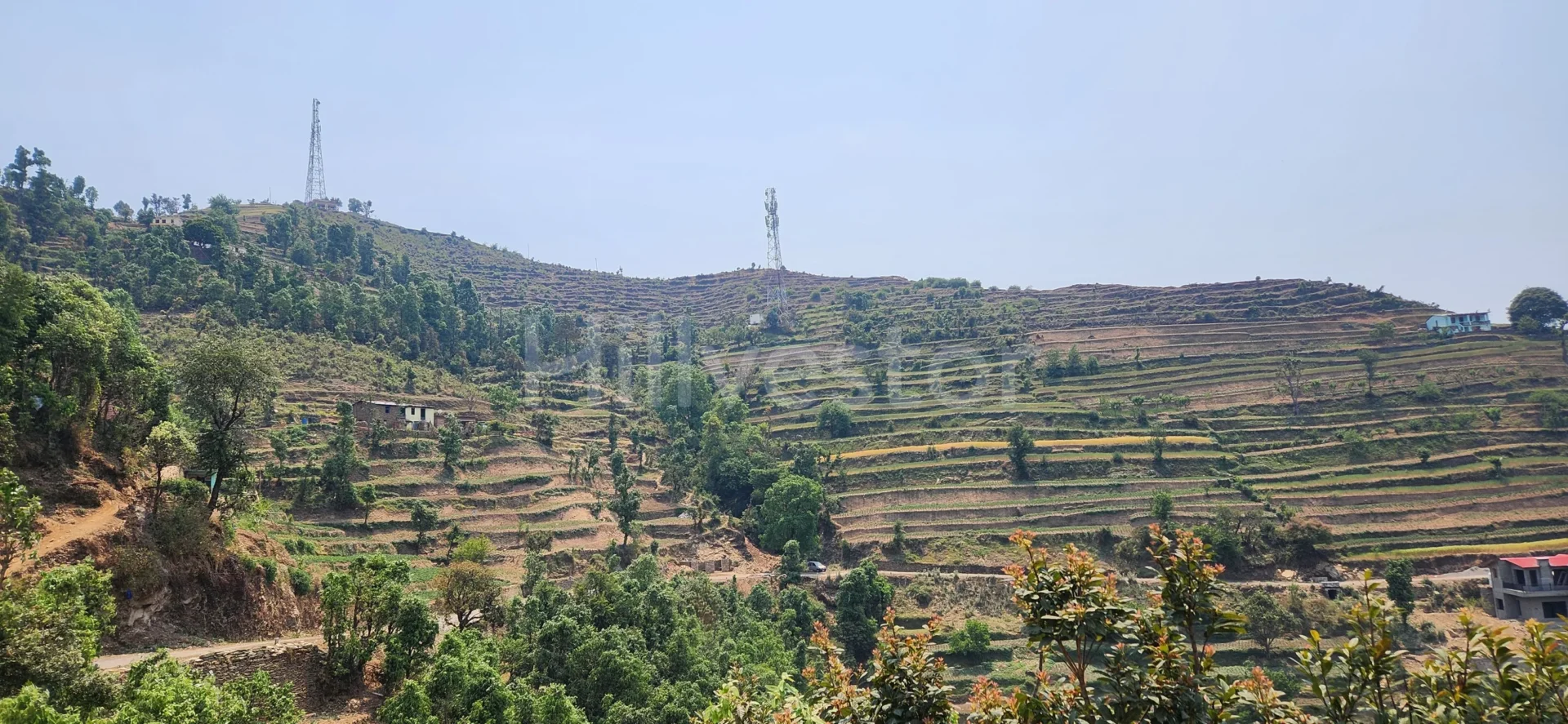 2,400 sq. yd. Commercial Land in Guniyalekh, Dhari, Nainital
