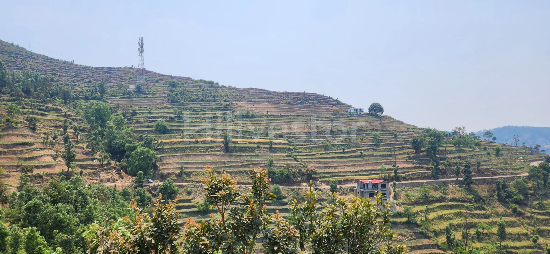 2,400 sq. yd. Commercial Land in Guniyalekh, Dhari, Nainital