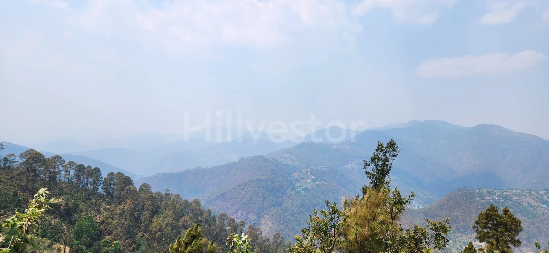 2,400 sq. yd. Commercial Land in Guniyalekh, Dhari, Nainital