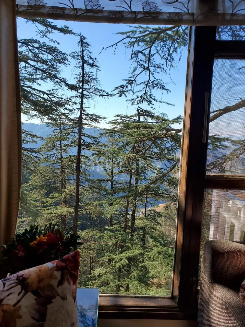 980 sq. ft. 2 BHK Apartment in Claridges Residency, Bharari, Shimla