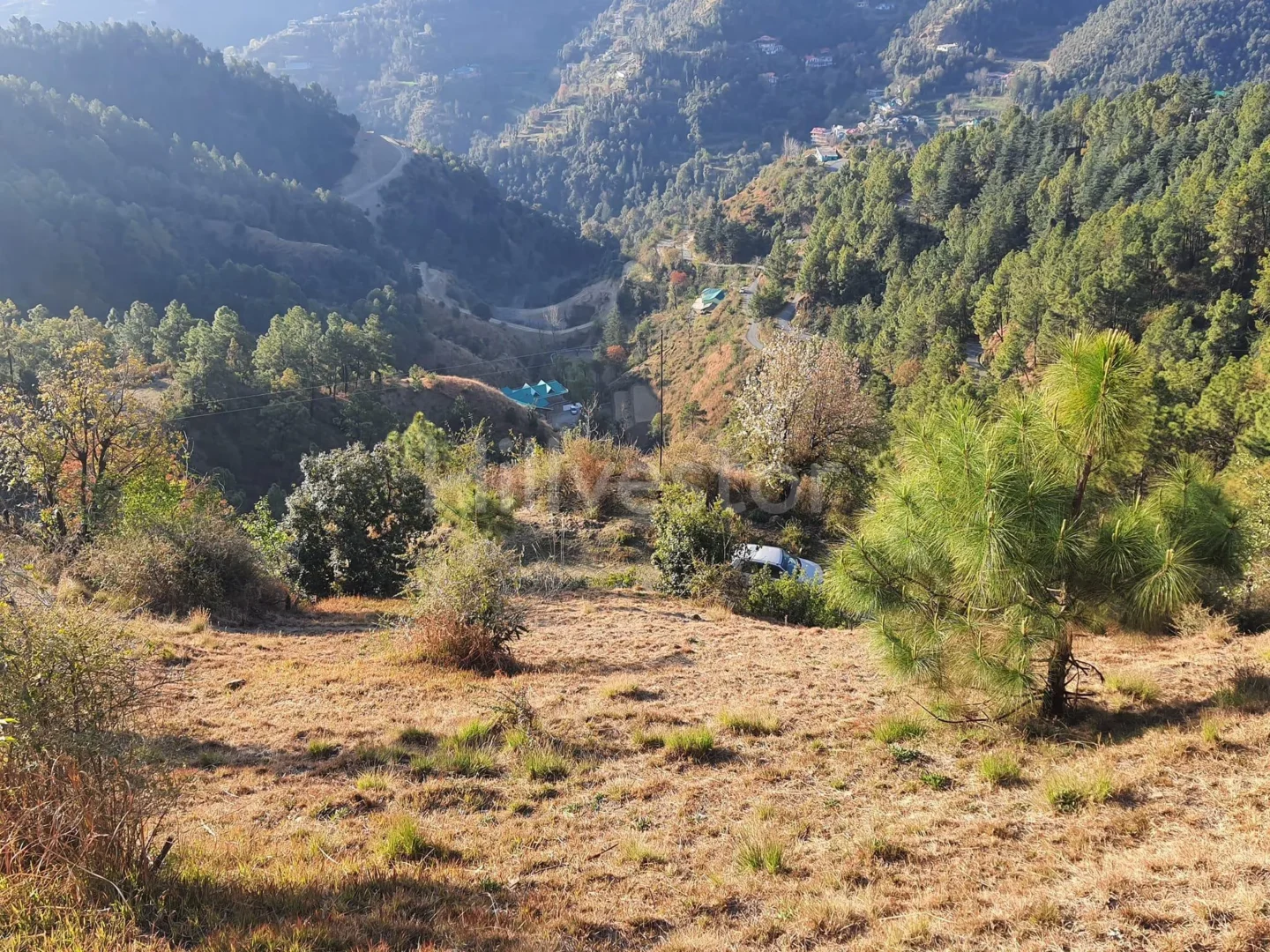 845 sq. yd. Residential Plot near Shoghi in Taradevi, Shimla
