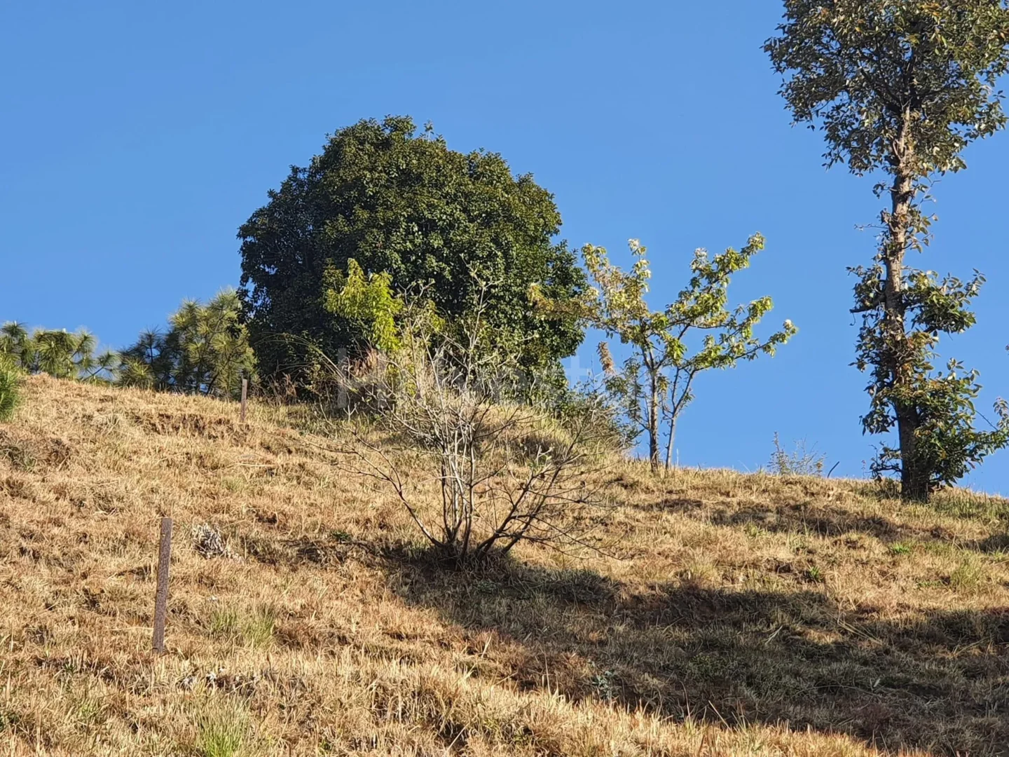 845 sq. yd. Residential Plot near Shoghi in Taradevi, Shimla