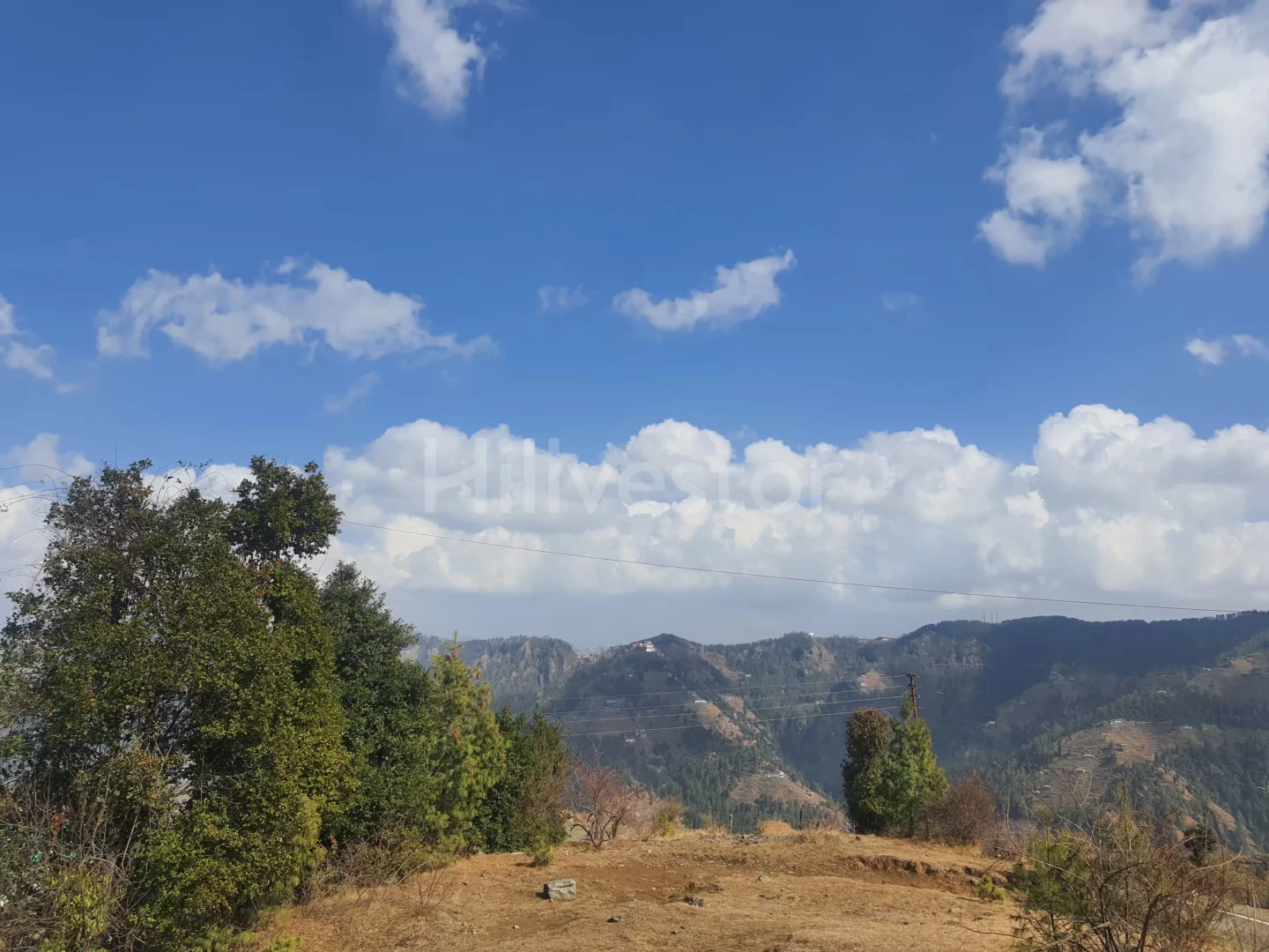 4,500 sq. yd. Residential Land on Mashobra Bekhalti Road, Mashobra