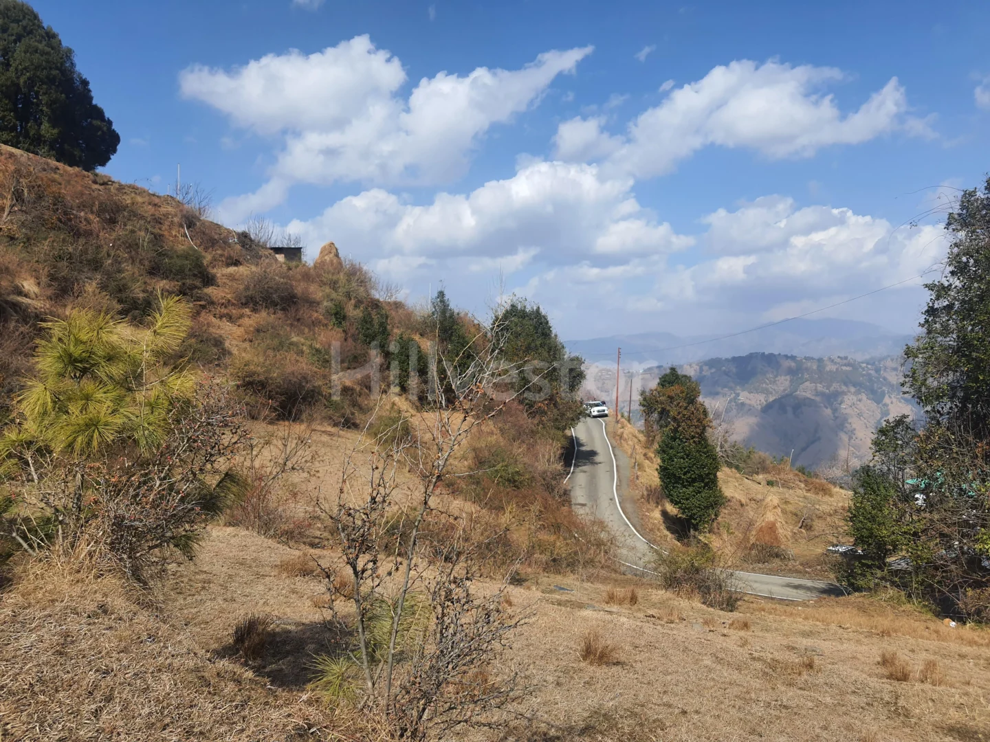 4,500 sq. yd. Residential Land on Mashobra Bekhalti Road, Mashobra
