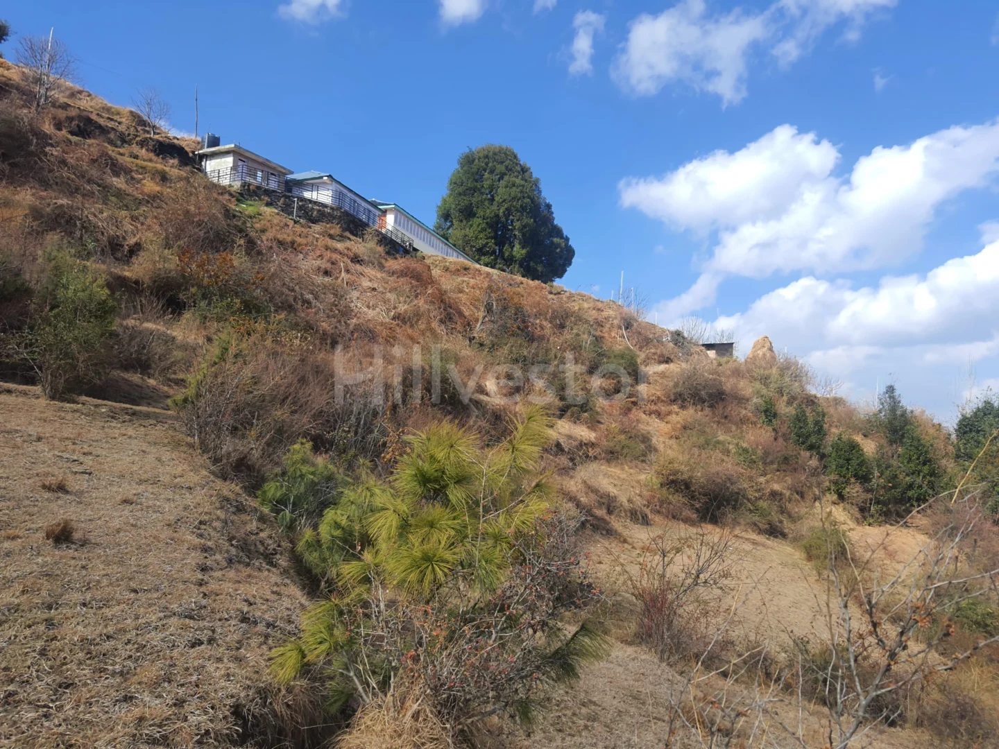 4,500 sq. yd. Residential Land on Mashobra Bekhalti Road, Mashobra