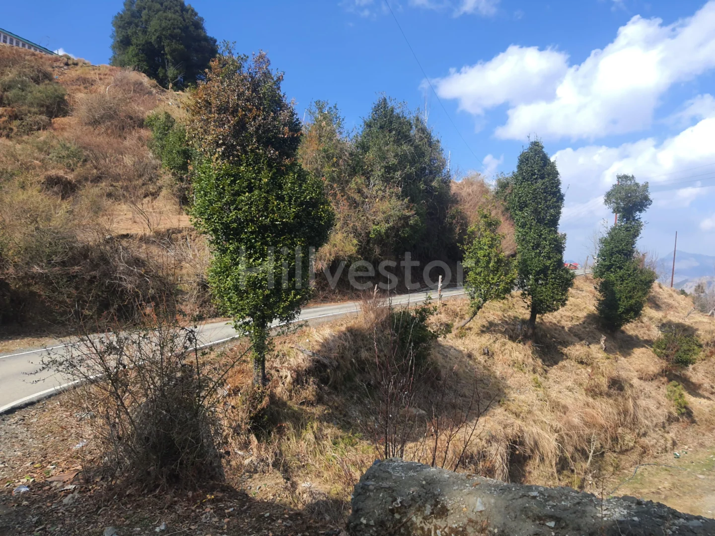 4,500 sq. yd. Residential Land on Mashobra Bekhalti Road, Mashobra