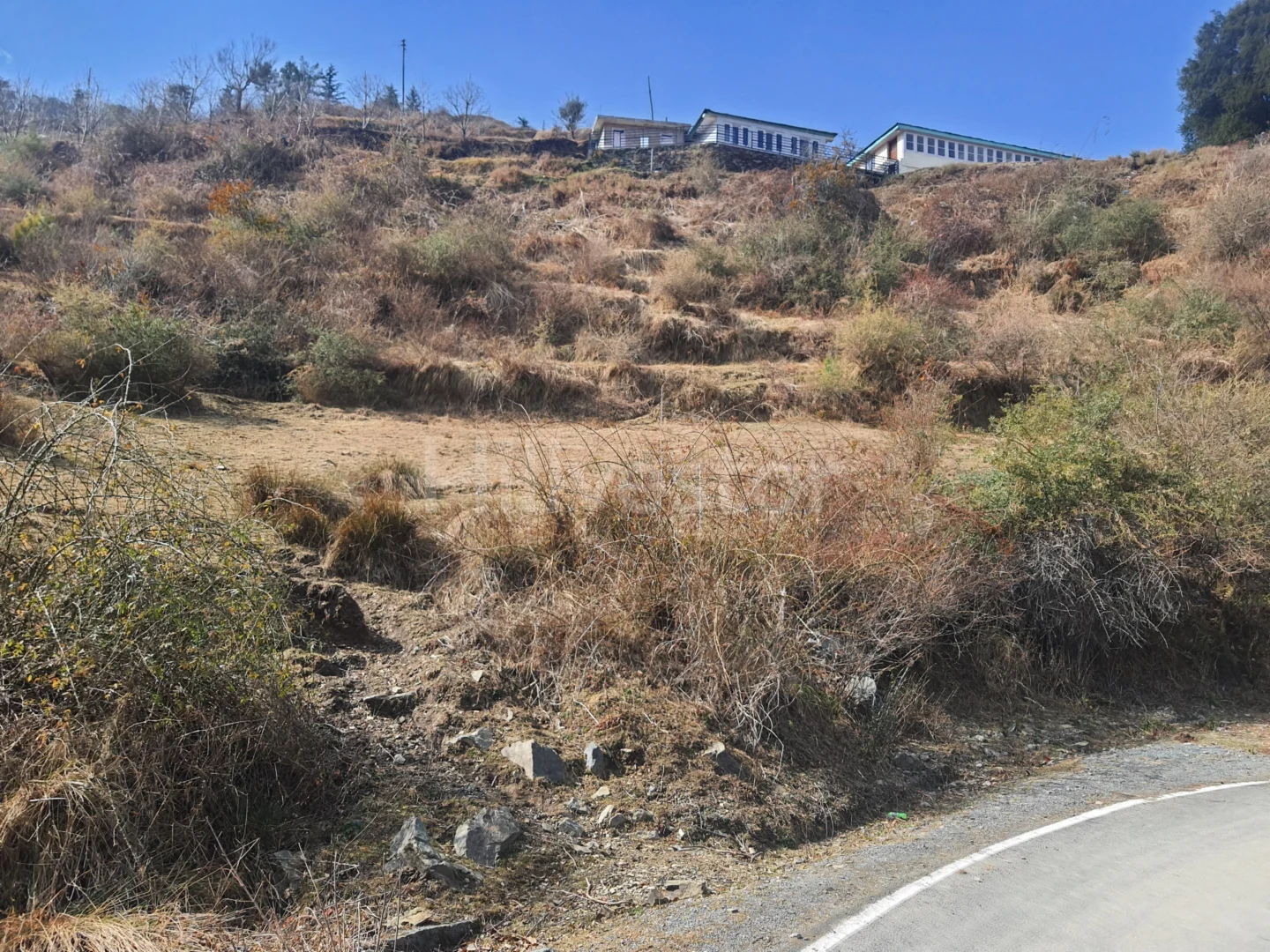 4,500 sq. yd. Residential Land on Mashobra Bekhalti Road, Mashobra