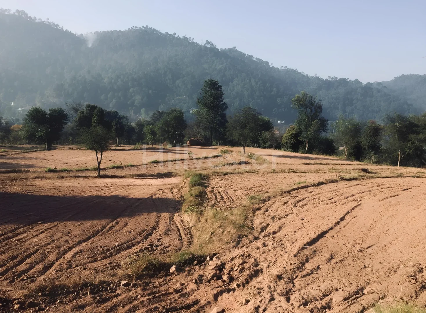 67,760 sq. yd. Residential Land in Ramshehar, Nalagarh
