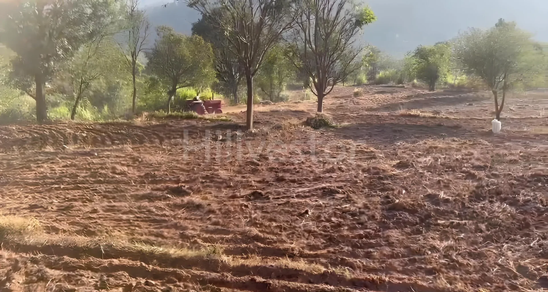 67,760 sq. yd. Residential Land in Ramshehar, Nalagarh