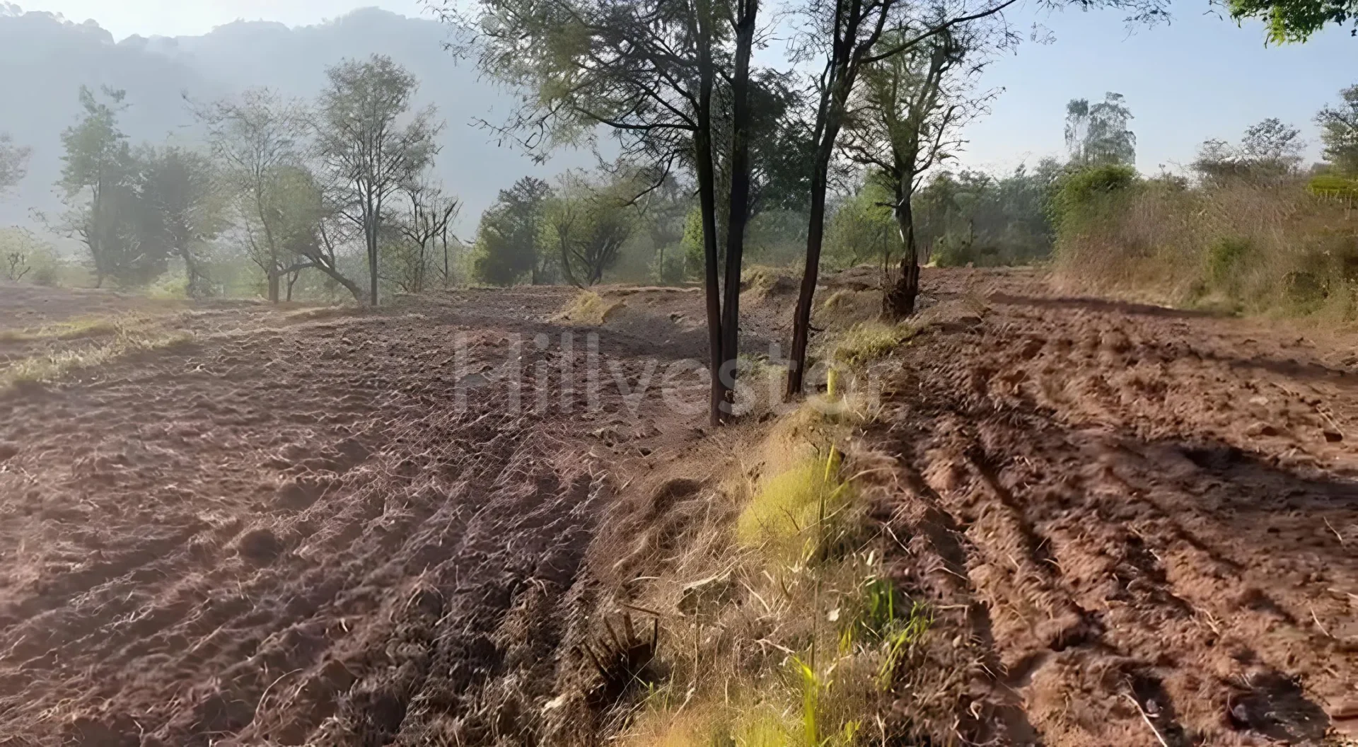 67,760 sq. yd. Residential Land in Ramshehar, Nalagarh