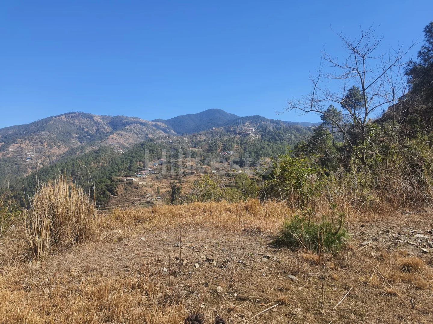 6,300 sq. yd. Residential Land in Anandpur, Mashobra