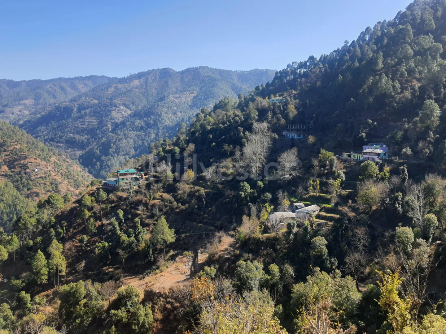 6,300 sq. yd. Residential Land in Anandpur, Mashobra