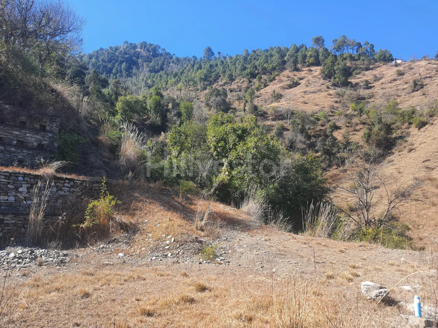 6,300 sq. yd. Residential Land in Anandpur, Mashobra