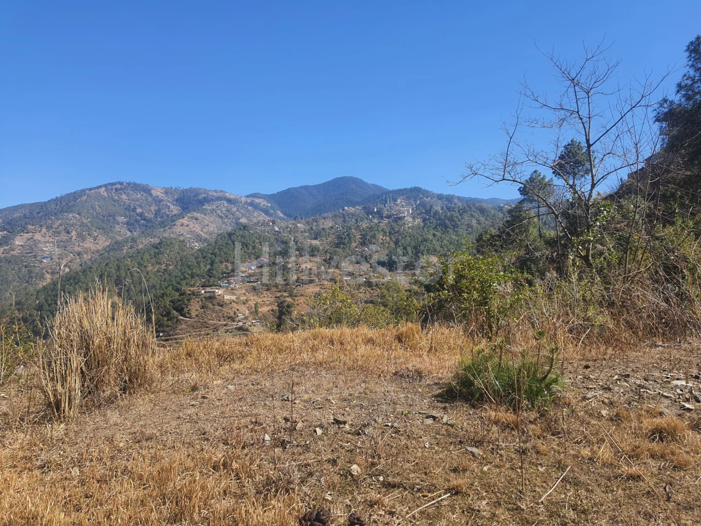 6,300 sq. yd. Residential Land in Anandpur, Mashobra
