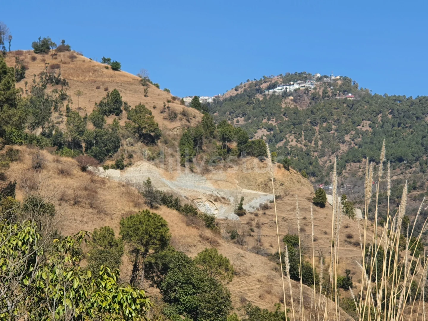 6,300 sq. yd. Residential Land in Anandpur, Mashobra