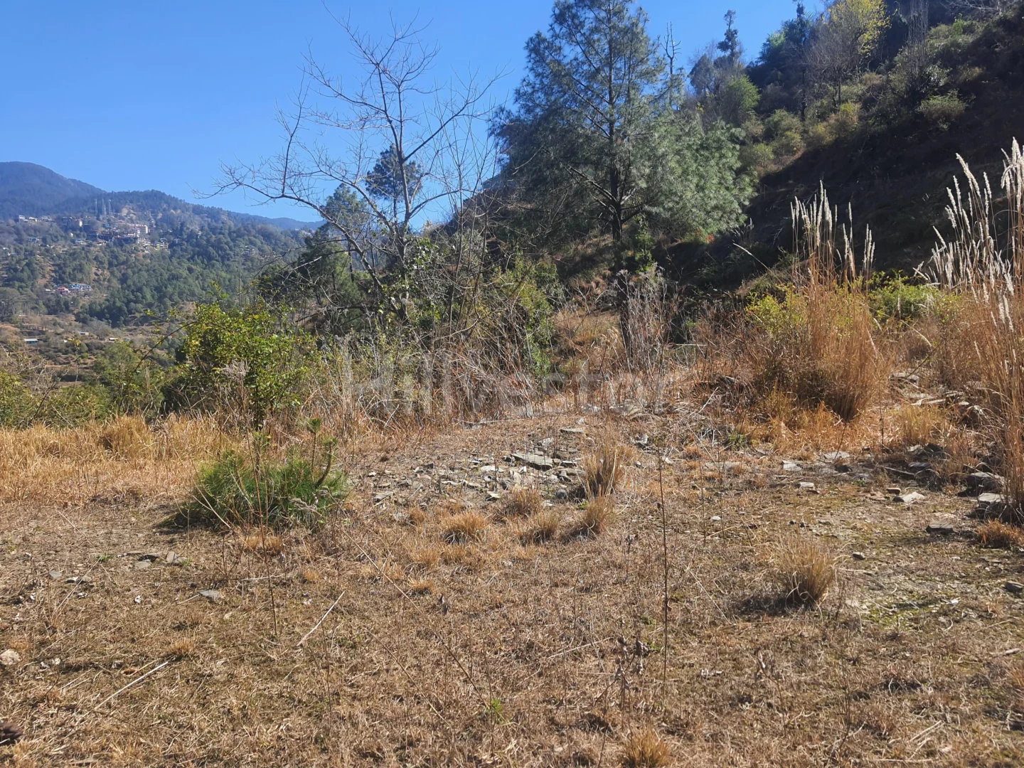 6,300 sq. yd. Residential Land in Anandpur, Mashobra