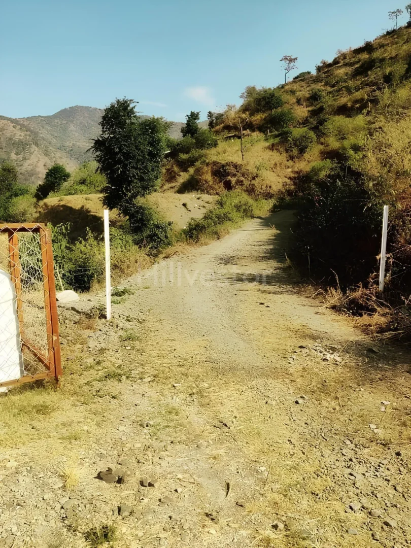 300 sq. yd. Residential Plot in Thano Greens, Thano, Dehradun
