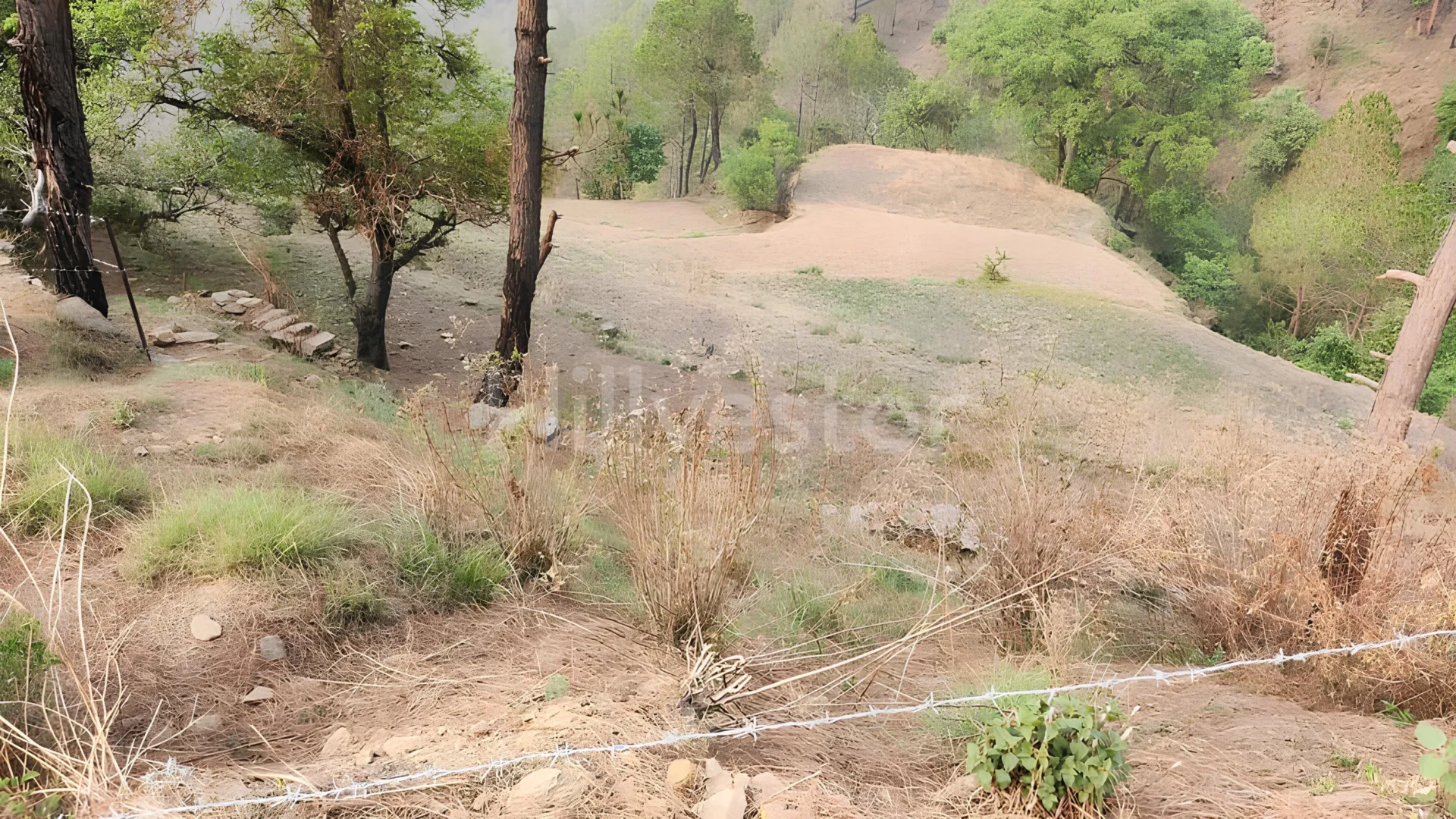 960 sq. yd. Residential Plot near Almora Ranikhet Road, Ranikhet