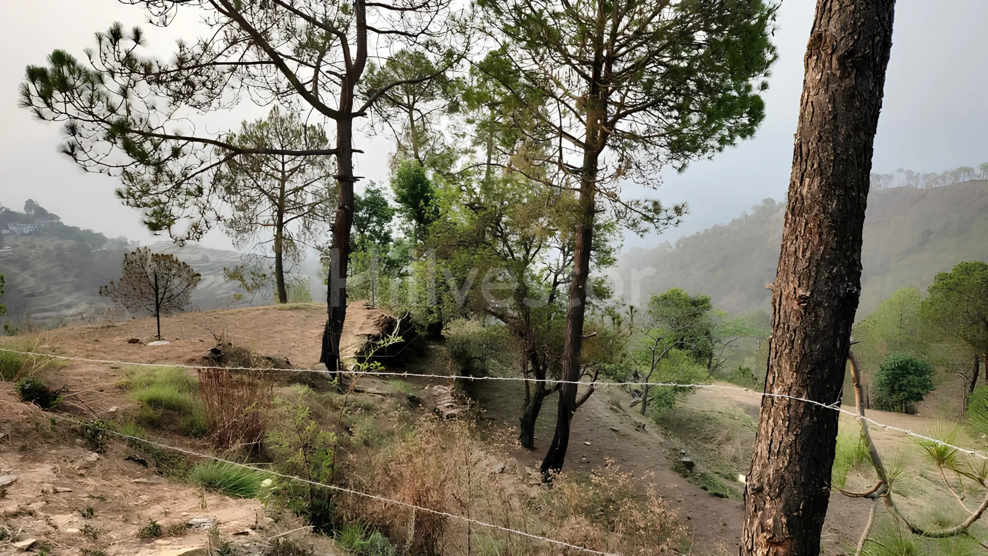 960 sq. yd. Residential Plot near Almora Ranikhet Road, Ranikhet