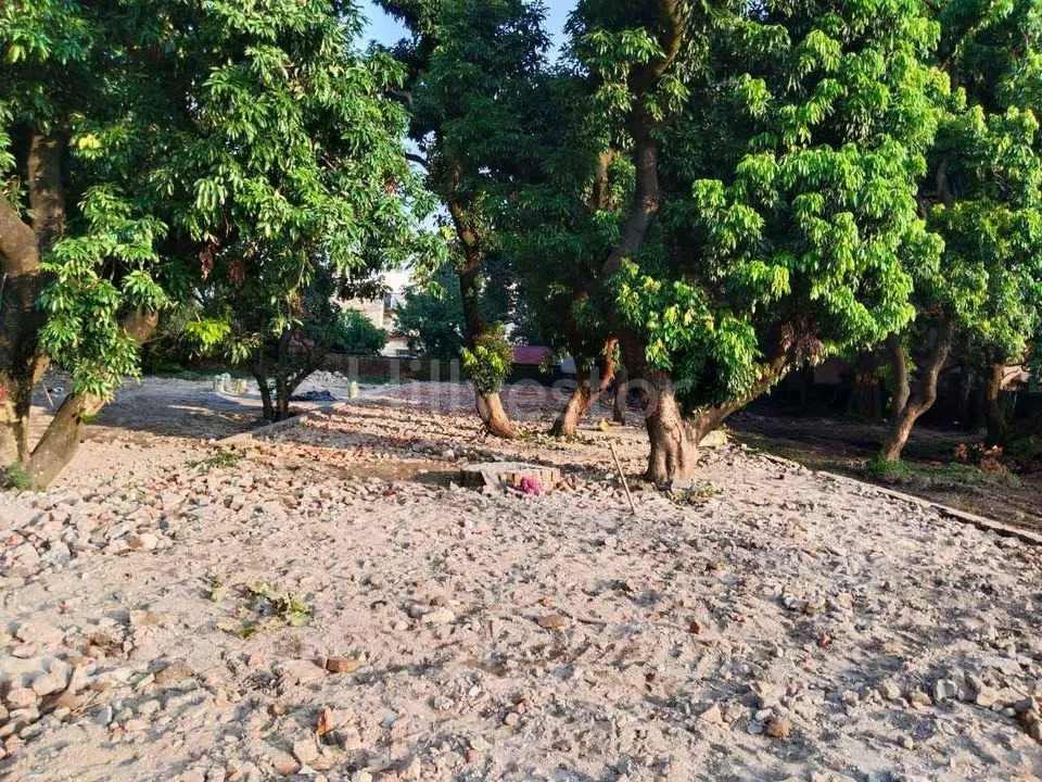 150 sq. yd. Residential Plot in Town Square, Race Course, Dehradun
