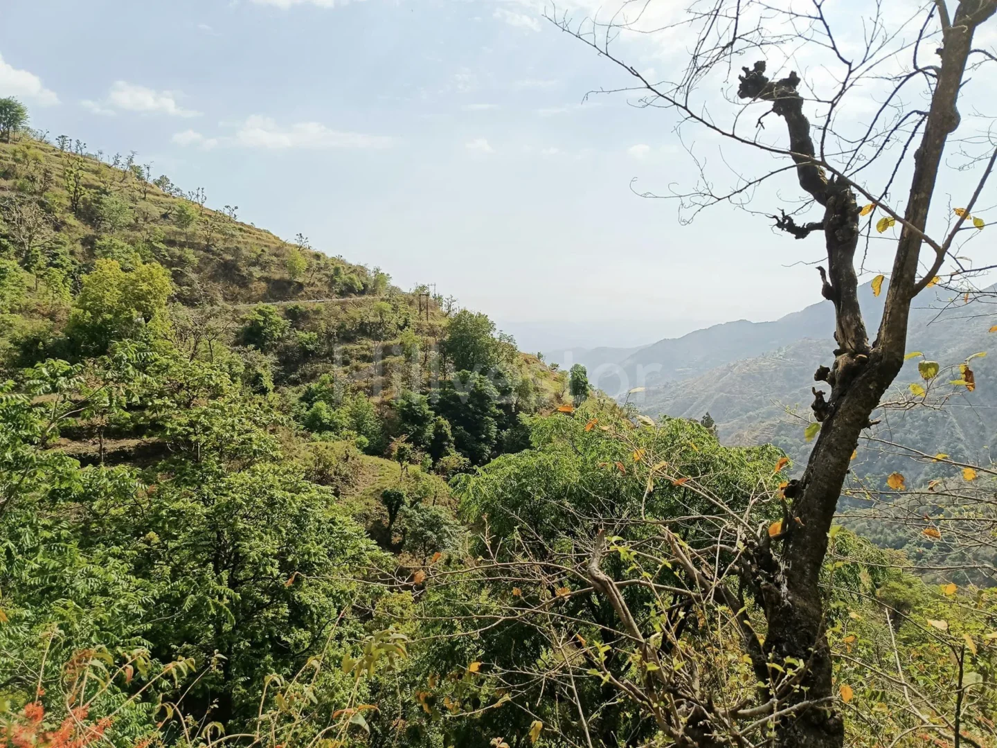 480 sq. yd. Residential Land near Agrakhal, Narendra Nagar