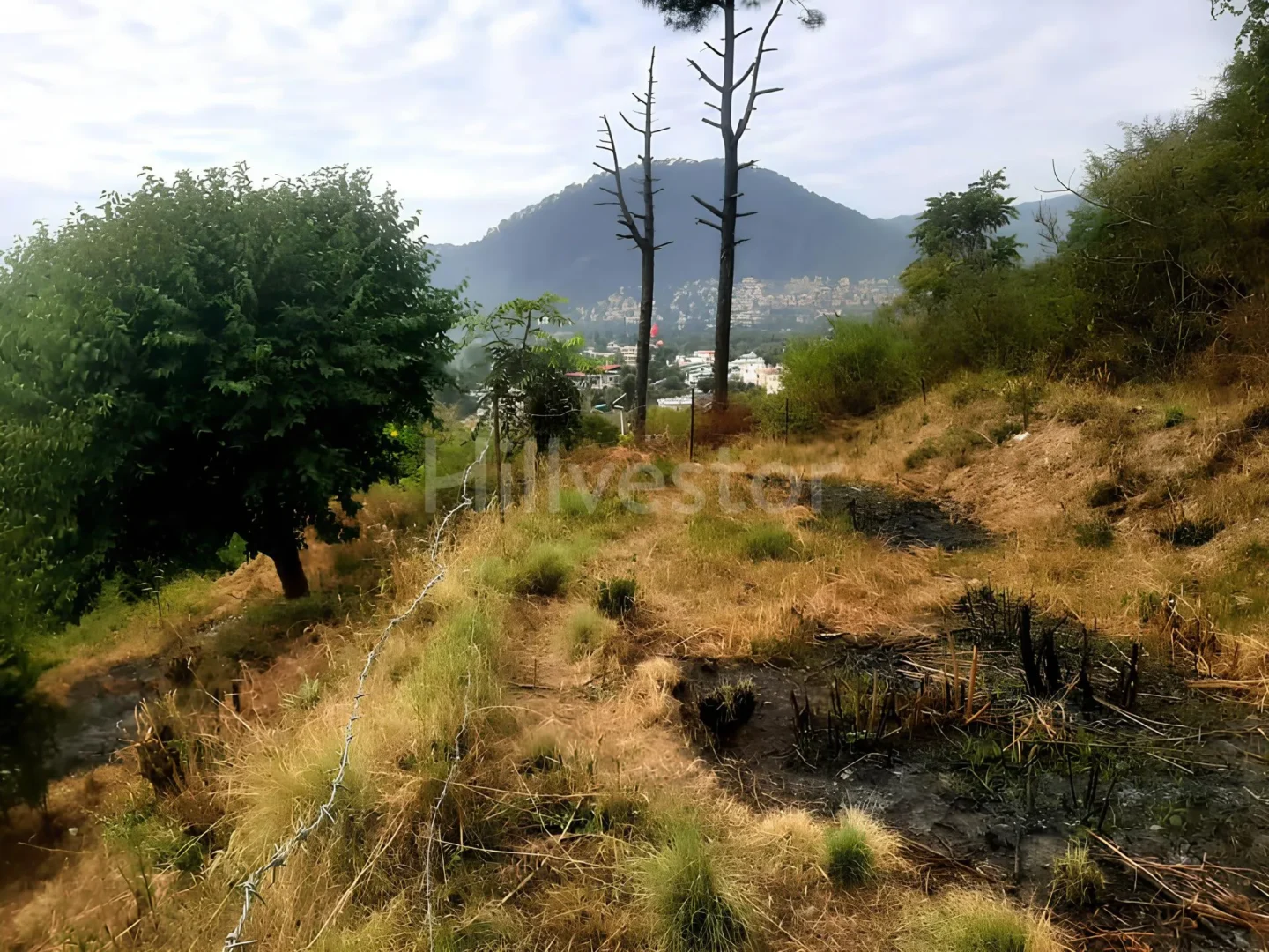 300 sq. yd. Residential Plot near Kutani Turn, Mehragaon, Bhimtal