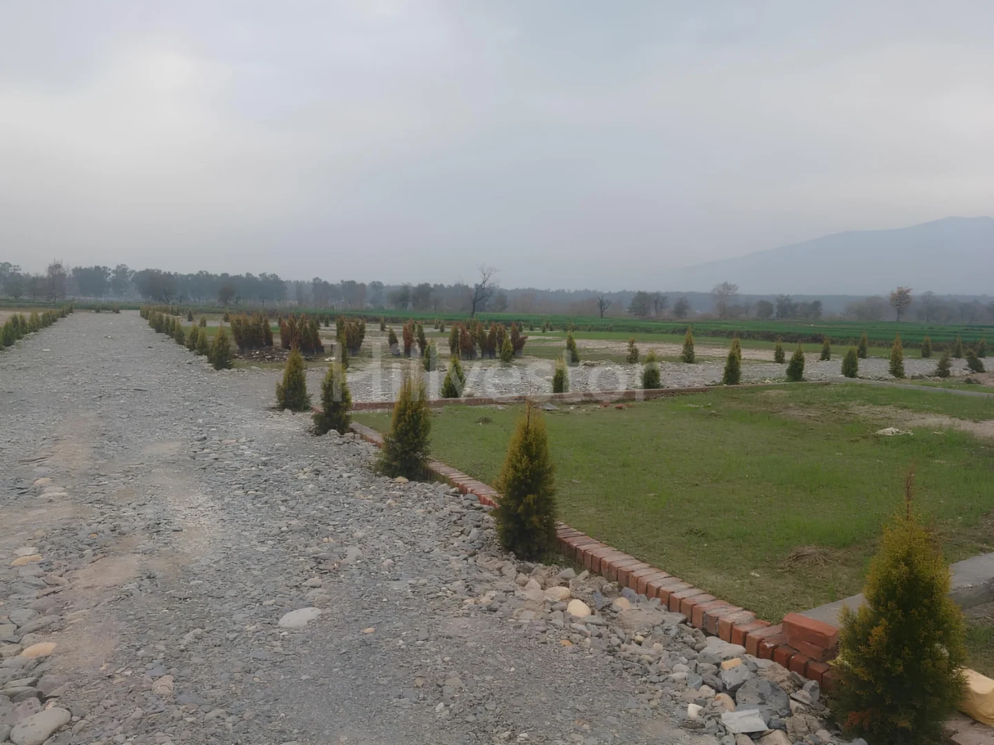200 sq. yd. Residential Plot near Rajawala Road in Selakui, Dehradun