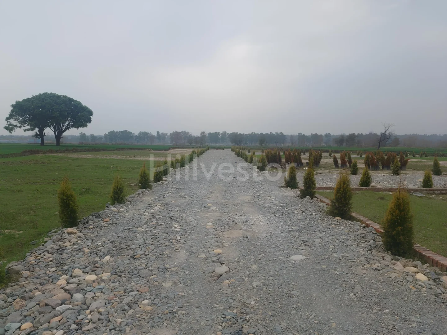 200 sq. yd. Residential Plot near Rajawala Road in Selakui, Dehradun