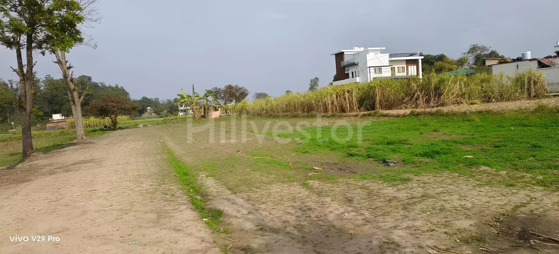 200 sq. yd. Residential Plot near Rajawala Road in Selakui, Dehradun
