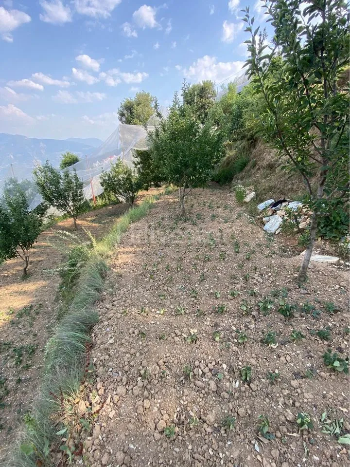 36,700 sq. yd. Commercial Land near Shillaru, Theog