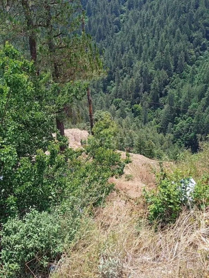 36,700 sq. yd. Commercial Land near Shillaru, Theog
