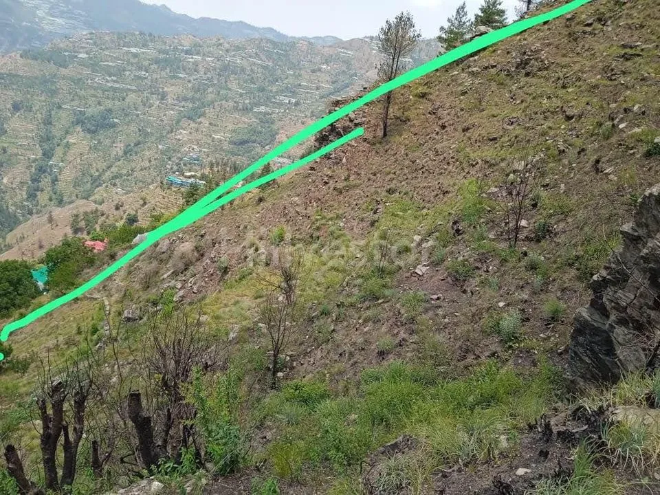 36,700 sq. yd. Commercial Land near Shillaru, Theog