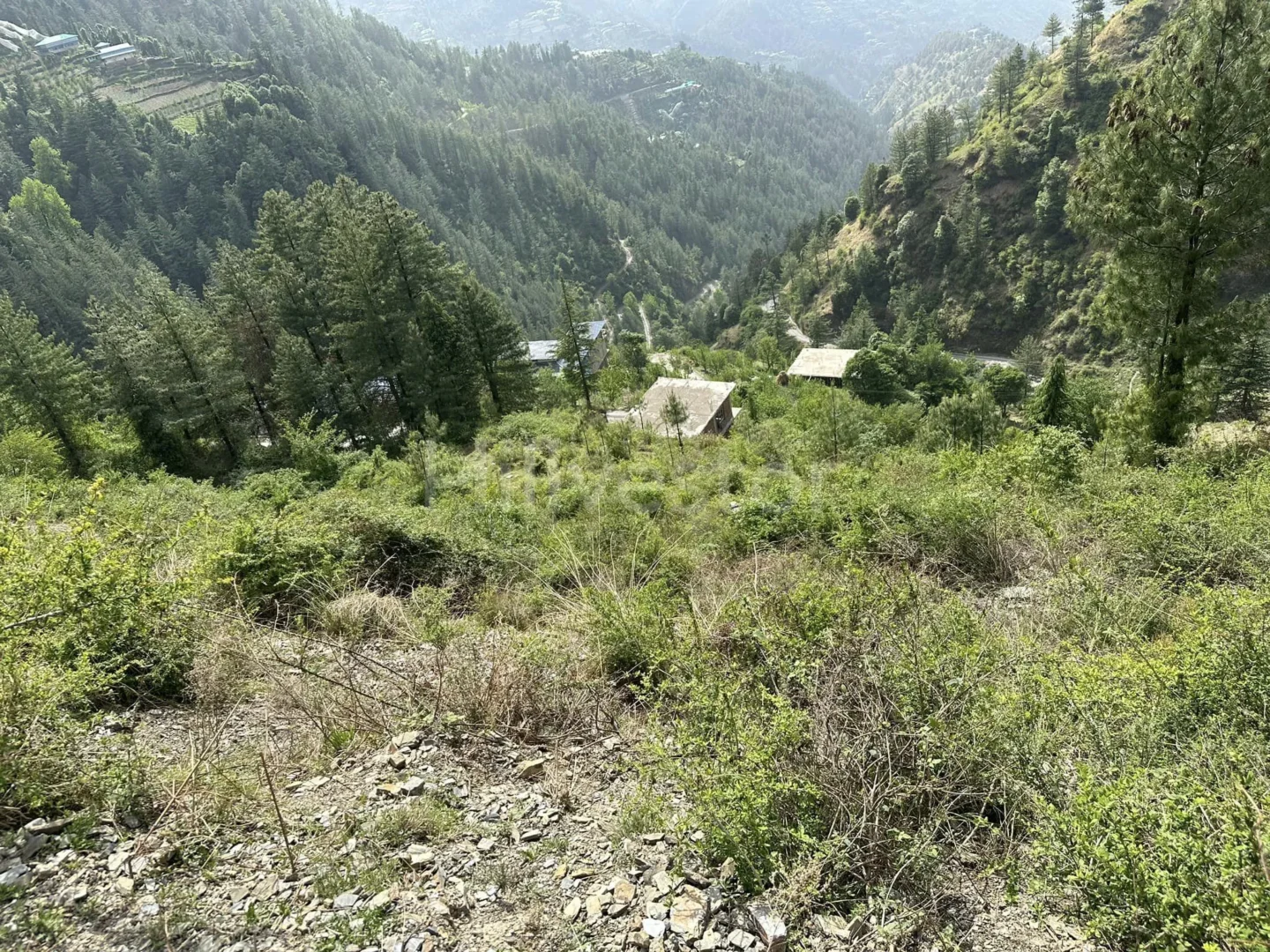 3,870 sq. yd. Commercial Land near Taj Resort & Spa, Theog