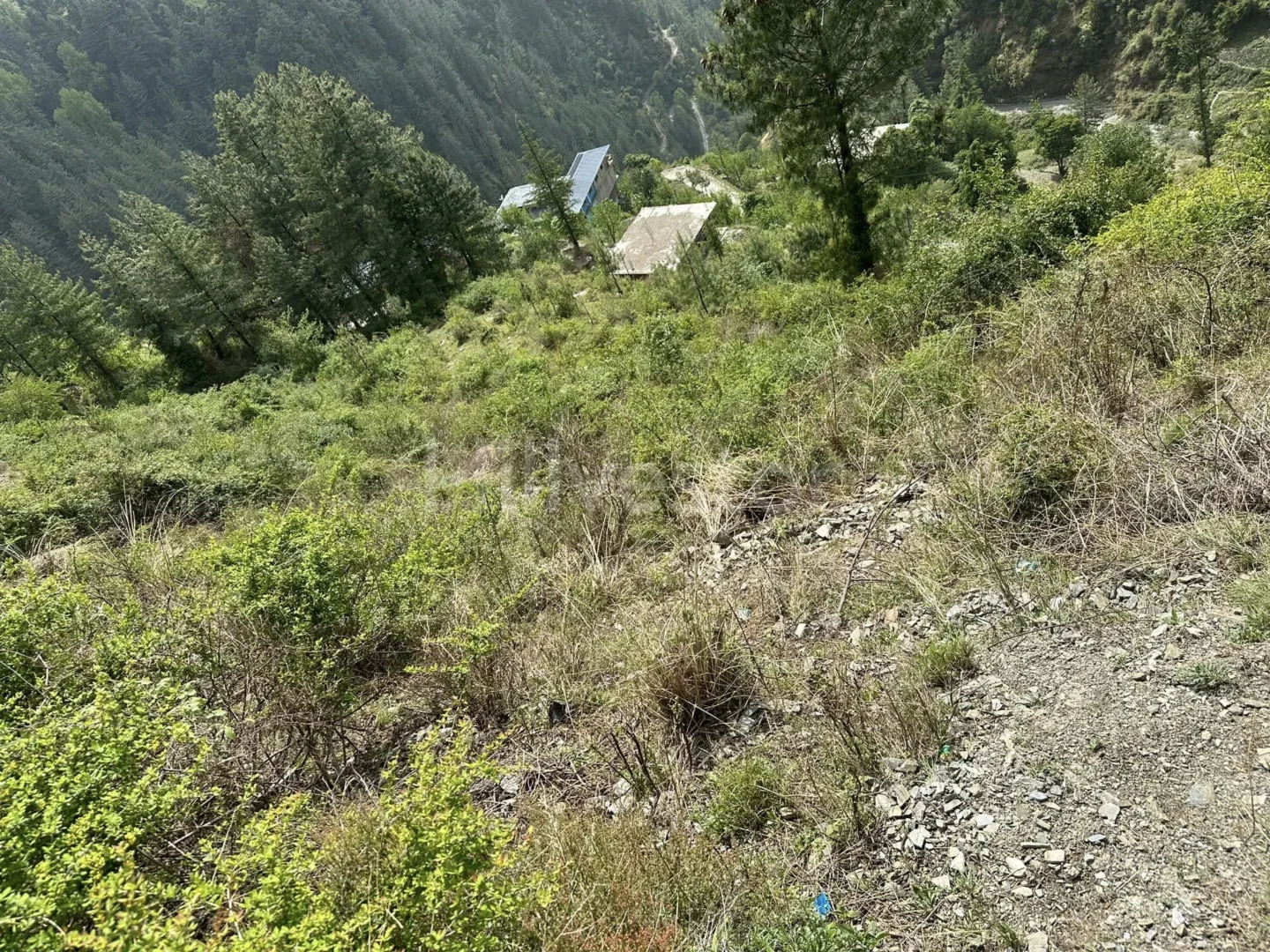 3,870 sq. yd. Commercial Land near Taj Resort & Spa, Theog
