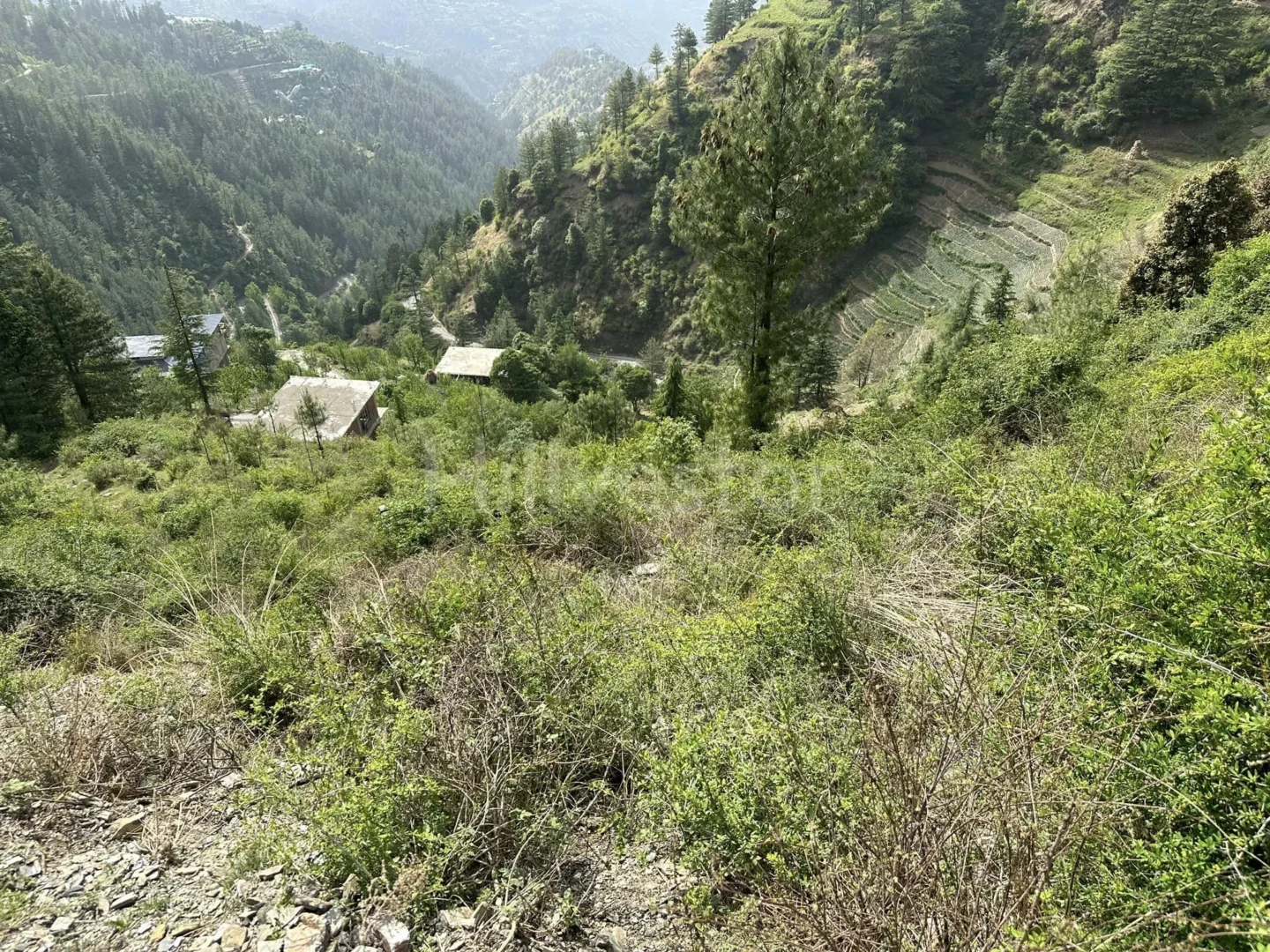 3,870 sq. yd. Commercial Land near Taj Resort & Spa, Theog