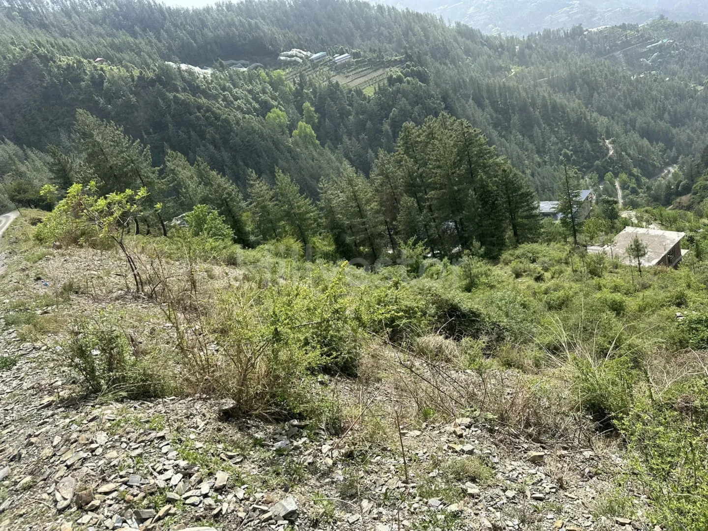3,870 sq. yd. Commercial Land near Taj Resort & Spa, Theog