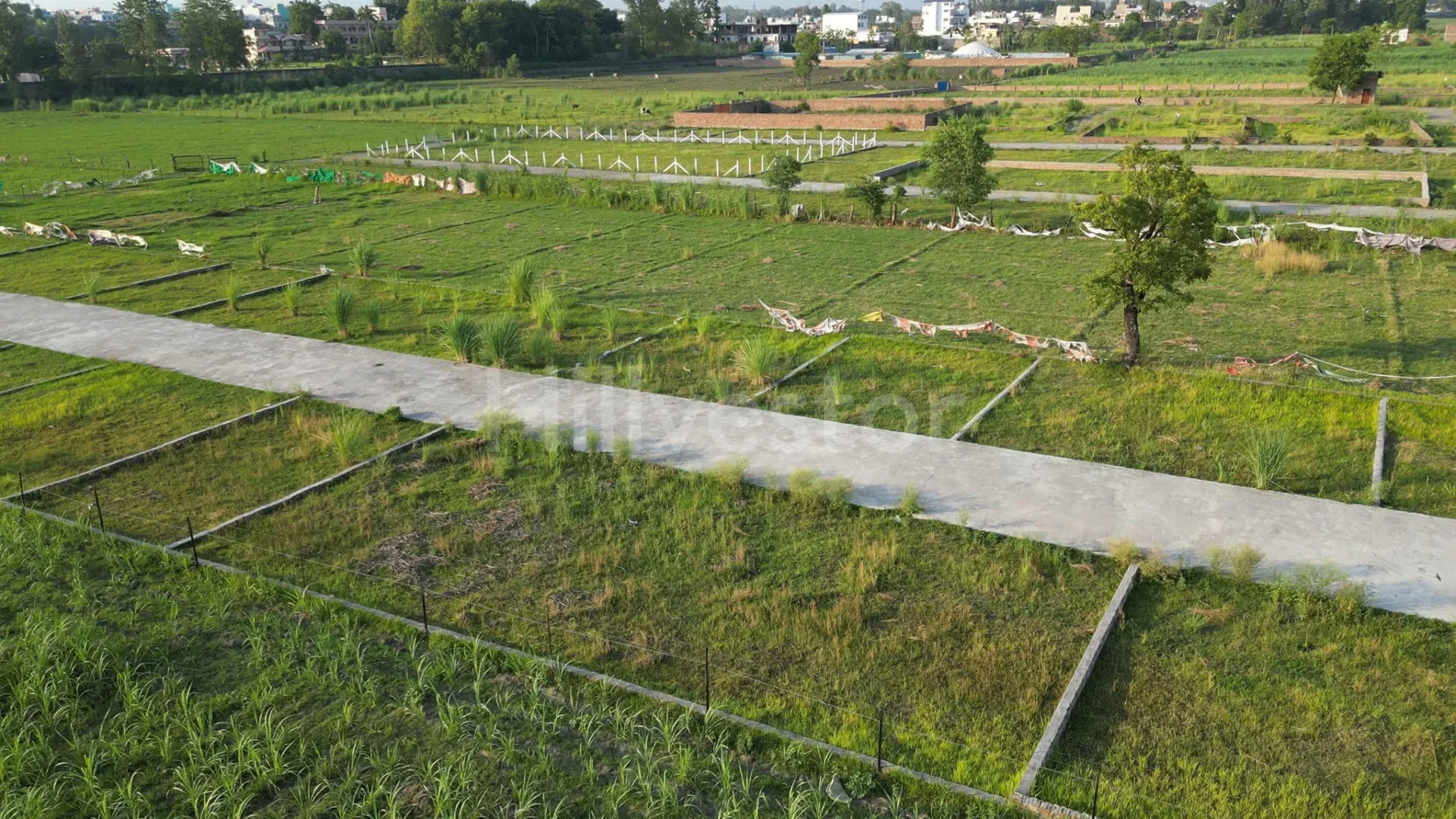 300 sq. yd. Residential Plot in Lakkad Ghat, Shyampur, Rishikesh