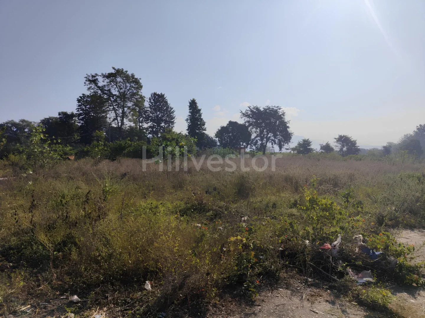 365 sq. yd. Residential Plot near MAMS Cricket Academy, Raiwala, Dehradun