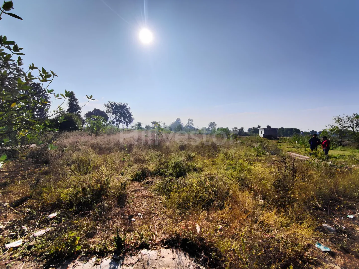 365 sq. yd. Residential Plot near MAMS Cricket Academy, Raiwala, Dehradun