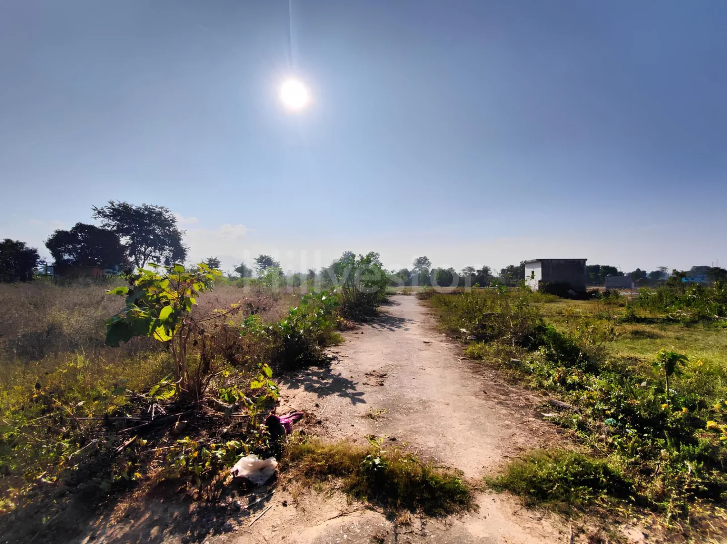 365 sq. yd. Residential Plot near MAMS Cricket Academy, Raiwala, Dehradun