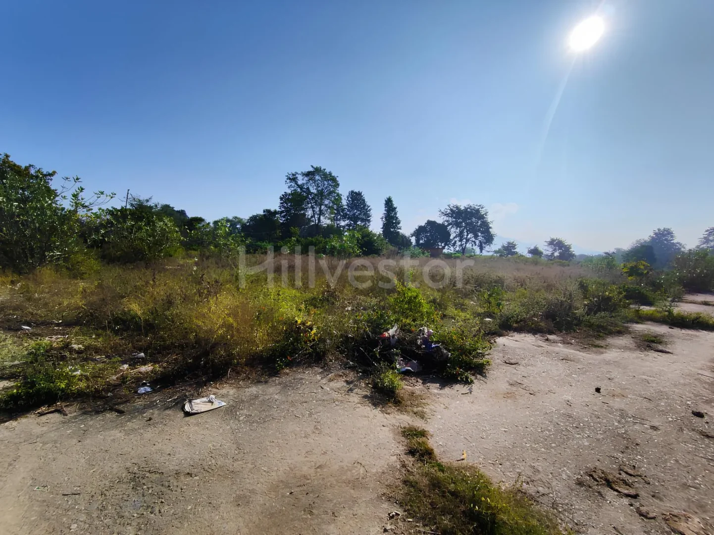 365 sq. yd. Residential Plot near MAMS Cricket Academy, Raiwala, Dehradun