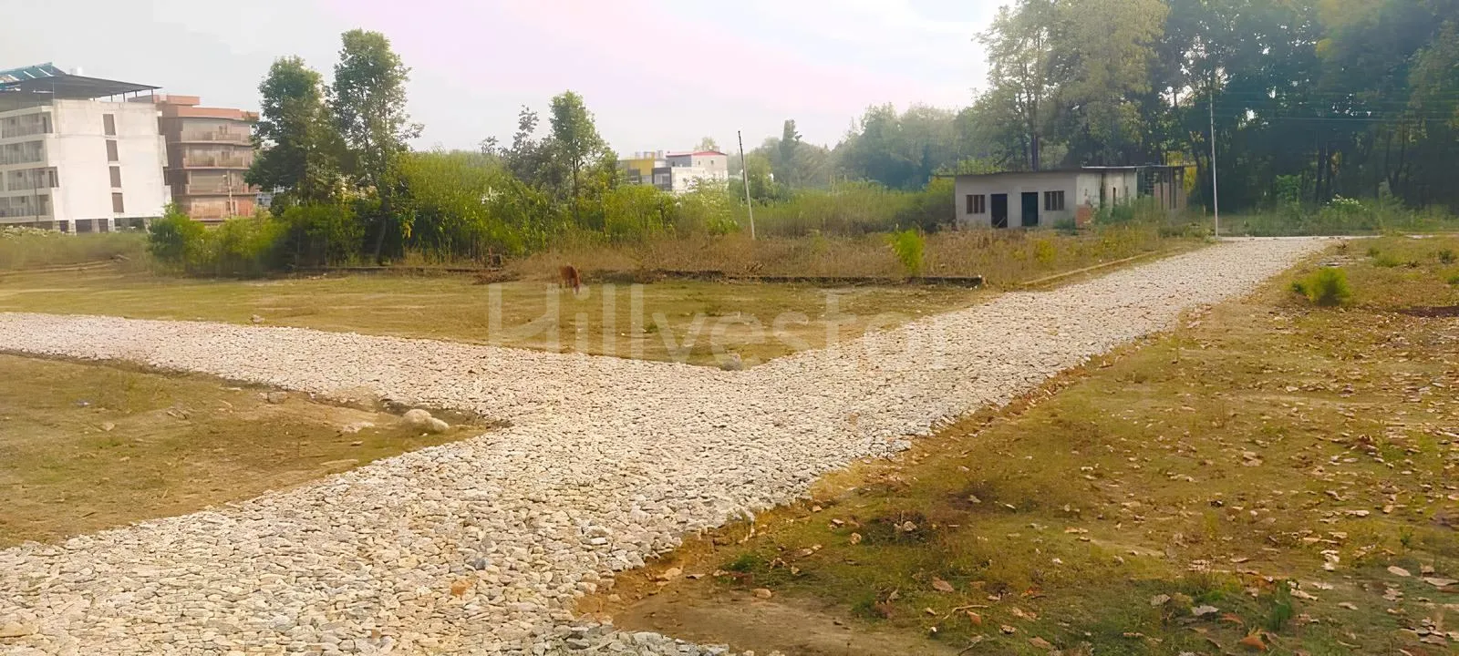 125 sq. yd. Residential Plot near Sara Industrial Estate, Shankarpur, Dehradun