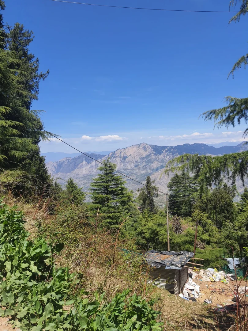 910 sq. yd. Residential Land near Kufri Chail Road in Kufri