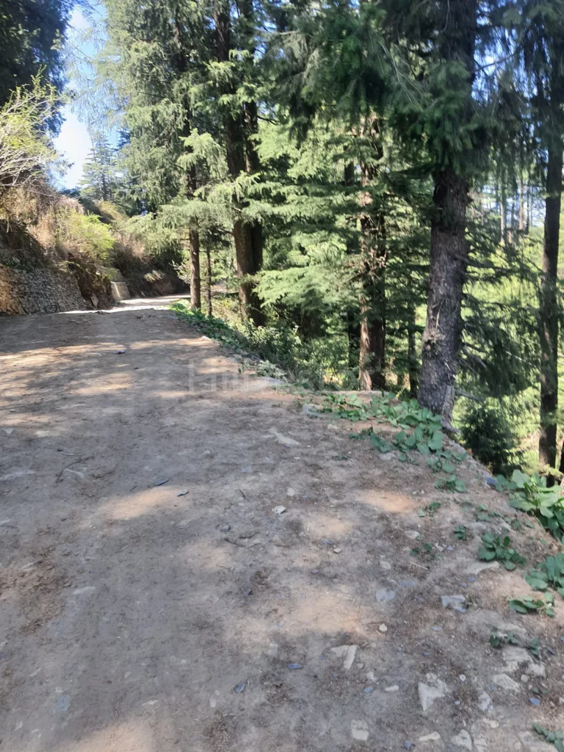 910 sq. yd. Residential Land near Kufri Chail Road in Kufri