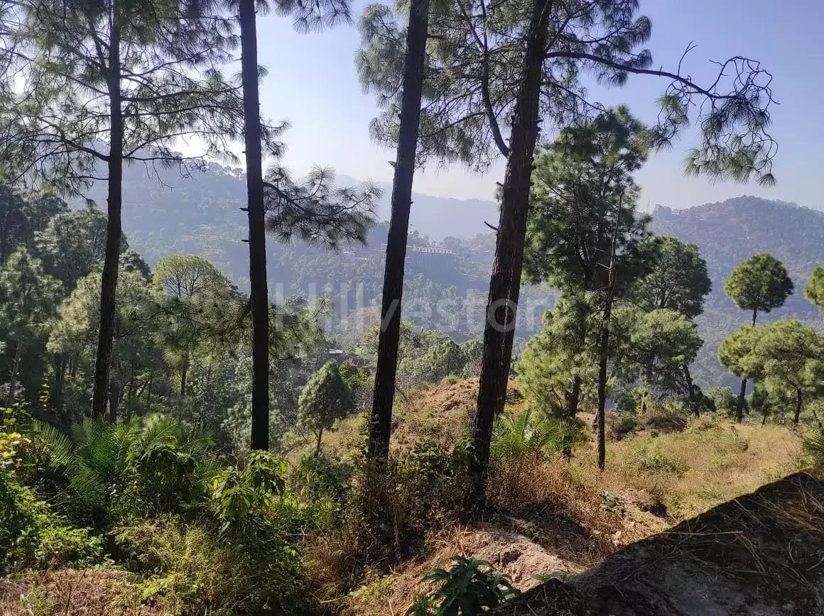 300 sq. yd. Residential Plot in Stone Gate, Kumarhatti Nahan Road, Solan