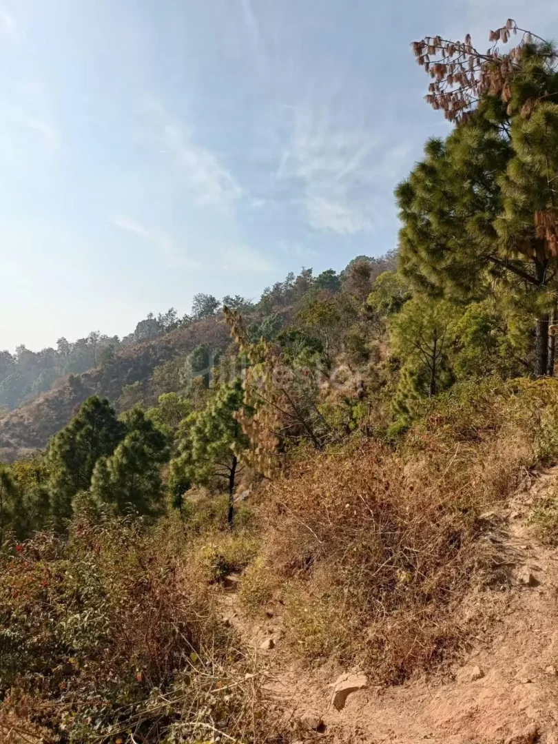 300 sq. yd. Residential Plot in Stone Gate, Kumarhatti Nahan Road, Solan