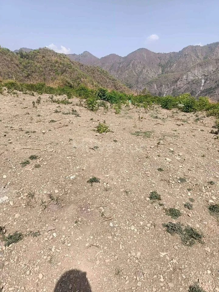 350 sq. yd. Residential Plot near Sahastradhara Road, Dehradun