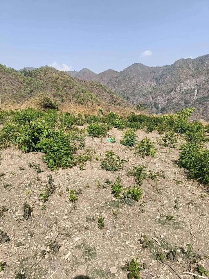 350 sq. yd. Residential Plot near Sahastradhara Road, Dehradun