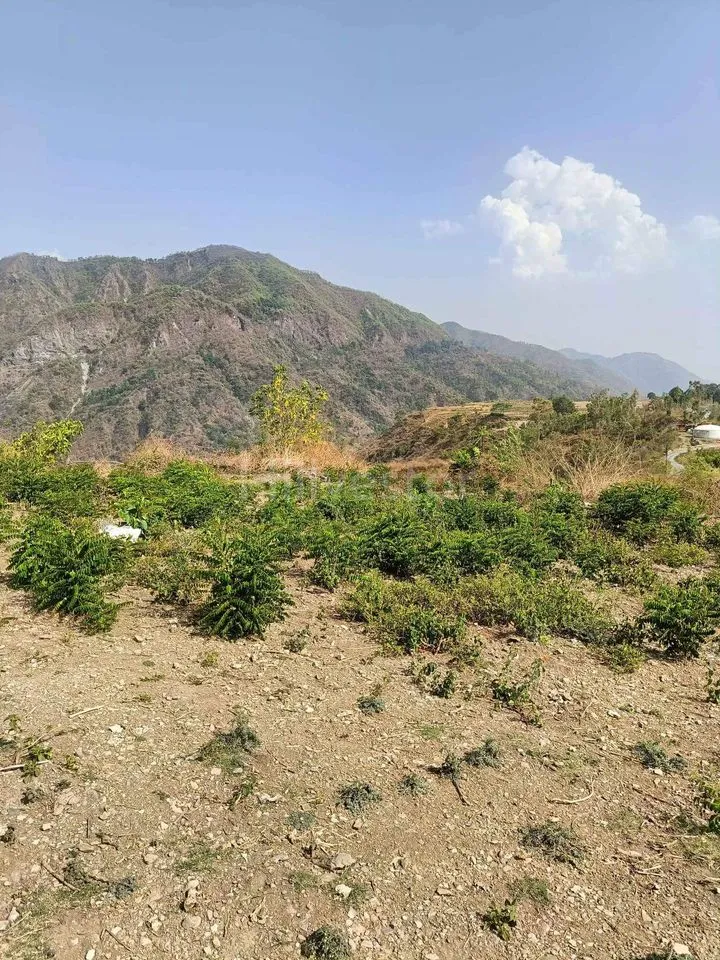 350 sq. yd. Residential Plot near Sahastradhara Road, Dehradun