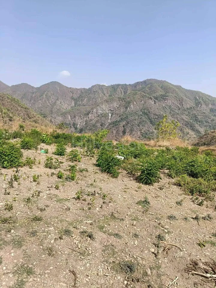 350 sq. yd. Residential Plot near Sahastradhara Road, Dehradun